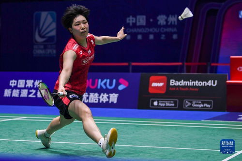 世界第一安洗莹本赛季25胜0负，她到底有多强？