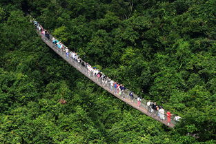 三亚摩托艇事件真相曝光！亲身经历讲述惊险一幕