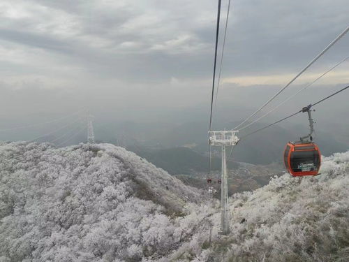 索道停运示意图