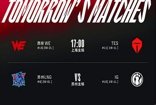 WBG粉丝在COA8现场应援