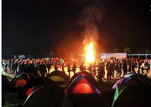 猴子森林108&middot;生死迷离（灵枢经正义精讲451～455）｜简书爆文