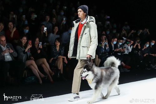 宠物时装周T台走秀