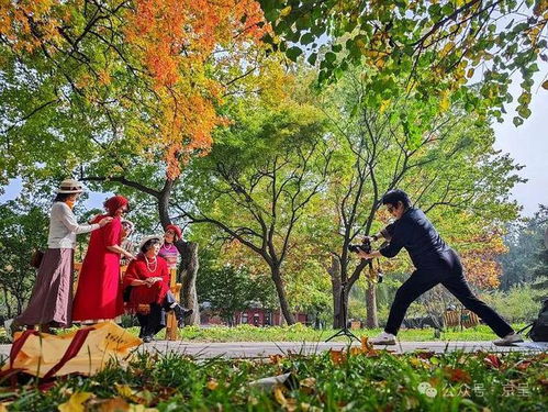 游客在地坛公园拍照