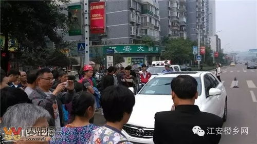 交警正在与司机交流