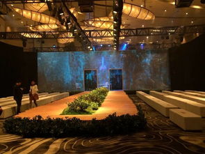 全息纱幕技术演示图示例