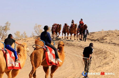 新疆克拉美丽沙漠公园开业盛况