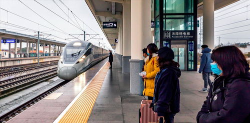 高铁站展示宠物运输箱