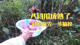 父亲与孩子重逢相拥的画面