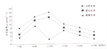 水稻根部细胞类型及基因表达热图<br><h2 id=