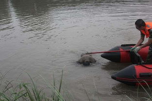 消防队员正在打捞船只残骸