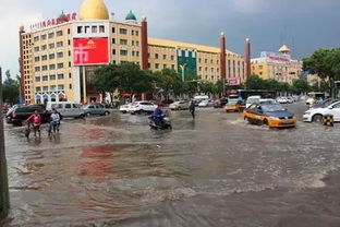 街道满地冰雹车辆受损