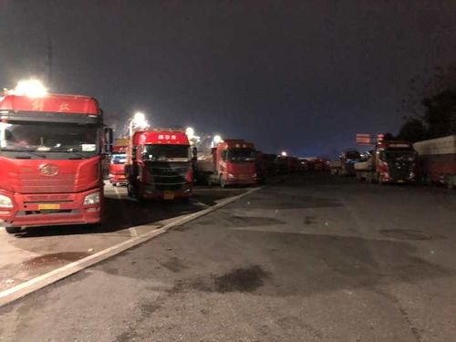 丈夫被妻子‘扔’高速服务区，夫妻吵架为何总在危险上演？