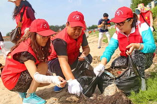志愿者在海滩清理垃圾的场景<p>最后我想说，环保不是一场运动，而是一种习惯。当我们每个人都愿意为地球多做一点点，这个世界就会变得不一样。</p><p>所以，下次去海边的时候，不妨带上一个小袋子，也许你也会像我一样，收获意想不到的“战利品”。</p>                        </p>
                        <!-- E 正文 -->
                    </div>

                    <!-- S 付费阅读 -->
<!-- E 付费阅读 -->


                    <!-- S 点赞 -->
<div class=
