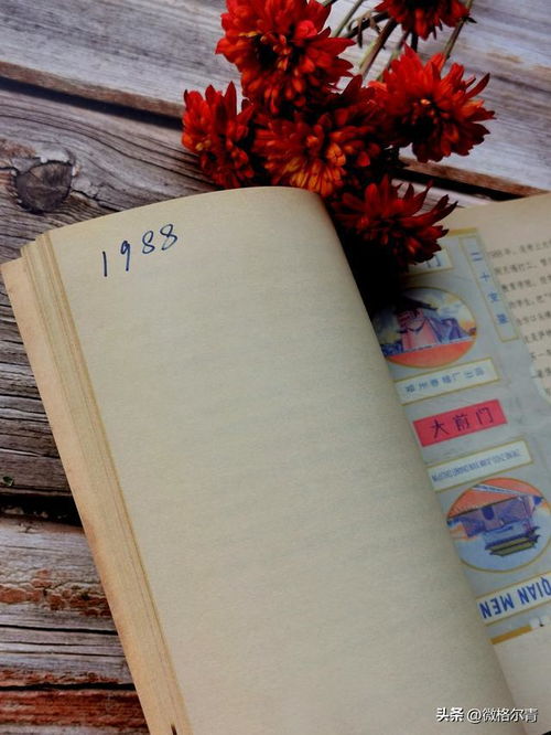 一本摊开的旧书