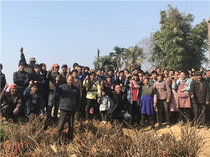 乡村青年带领村民种植新作物