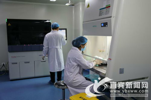 科研人员在实验室分析数据<p>此外，这一发现也可能为其他疾病治疗提供新思路。例如，某些癌症和自身免疫性疾病的治疗机制也涉及抗体的作用，了解天然抗体的形成过程，有助于开发更精准的靶向疗法。</p><h3>结语</h3><p>虽然目前尚不清楚这位男子为何会拥有这种抗体，但科学的魅力就在于不断探索未知。也许，在未来的某一天，我们会发现更多隐藏在人体内的“超级能力”。</p>                        </p>
                        <!-- E 正文 -->
                    </div>

                    <!-- S 付费阅读 -->
<!-- E 付费阅读 -->


                    <!-- S 点赞 -->
<div class=