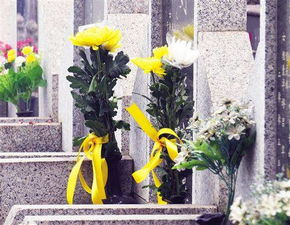 五保户老人丧事铺张浪费引争议，侄子代办花光23万遗产遭索赔