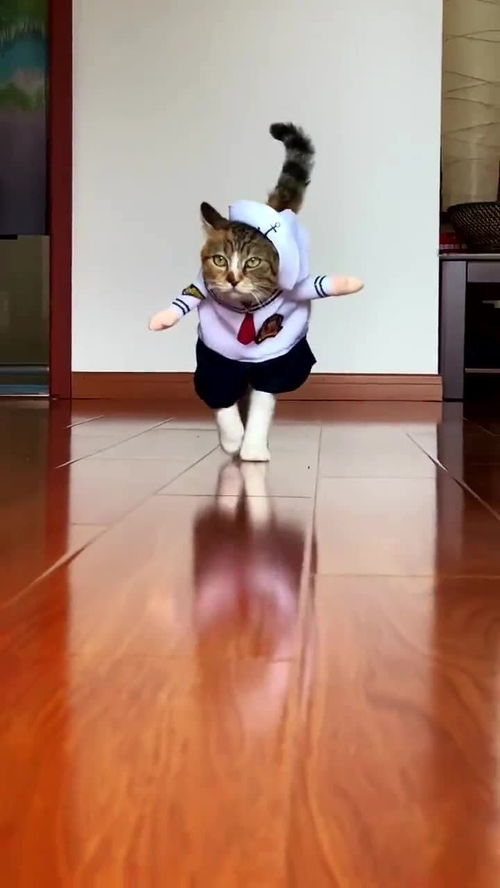 一位女孩在客厅模仿猫步动作