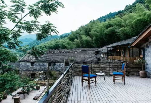 倪大村民宿区外观全景图