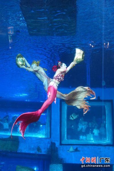 美人鱼表演现场图片