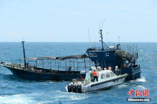 伏季休渔开启，我的海洋观察日记：执法升级背后的故事