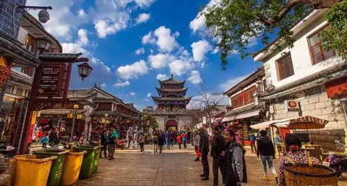 为什么每个景区特产都有酸奶？我亲身探访后，终于明白了真相！