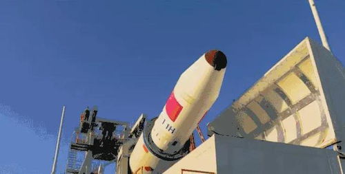 173票赞成，马斯克当“城主”？这波操作太敢想！