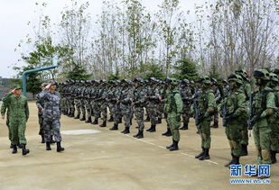 中新联合训练现场