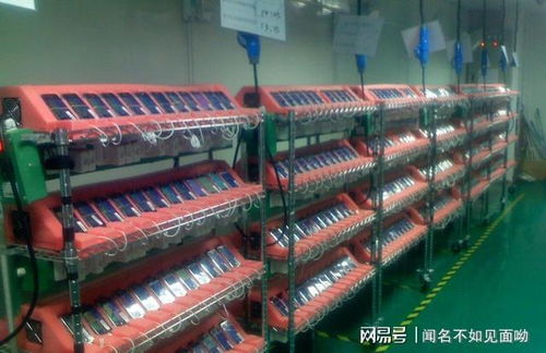 内衣代工厂生产线实景图