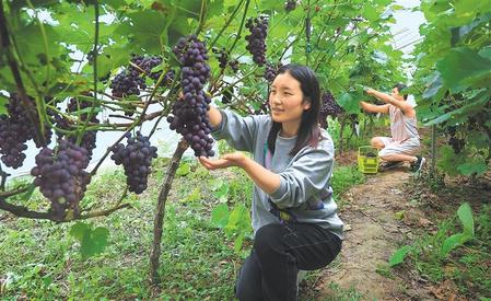 这个五一的文旅体验不要太丰富 我亲身感受了这些精彩瞬间