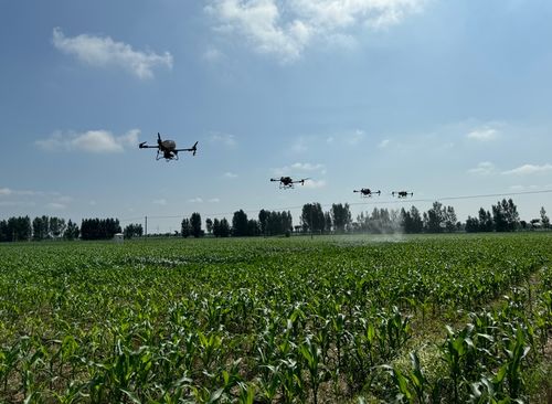 农业无人机在田间作业<br><h2 id=