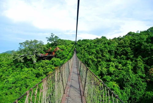 亚龙湾热带天堂森林公园景色