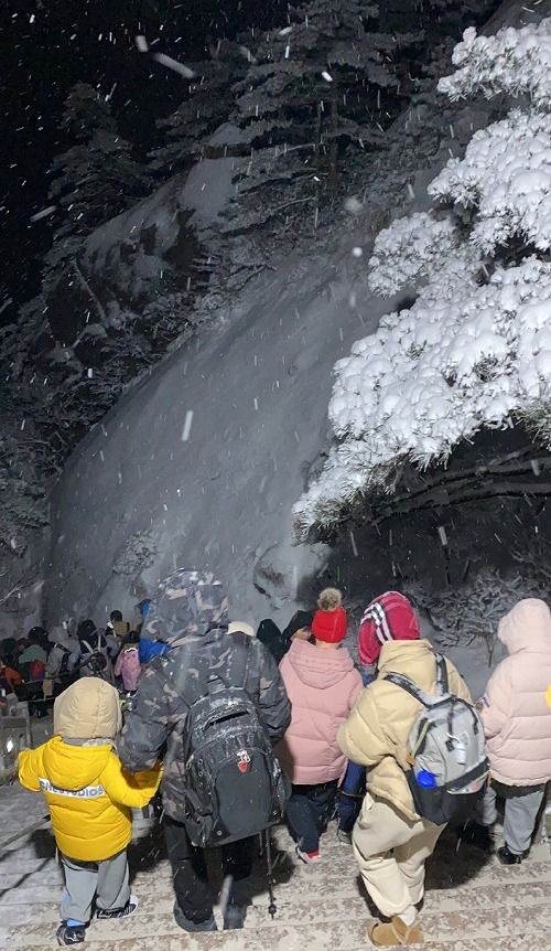 游客在景区躲避虫子袭击