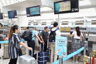 旅客在机场查看手机上的机票订单页面<p>正如一位网友所说：“旅行本是件开心的事，不该被这些套路搞得糟心。”希望各大平台能真正做到以用户为中心，构建一个更加透明、公平的消费环境。</p>                        </p>
                        <!-- E 正文 -->
                    </div>

                    <!-- S 付费阅读 -->
<!-- E 付费阅读 -->


                    <!-- S 点赞 -->
<div class=