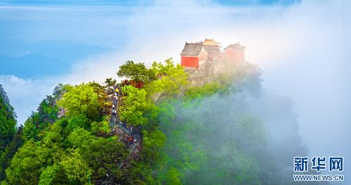 武当杰克金发变黑引热议，14年中国修行路揭开神秘面纱