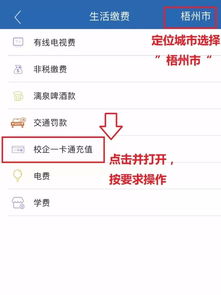 图片内容：学生手机查看银行账户余额截图