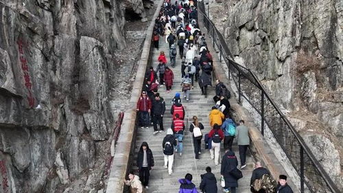 2025五一假期泰山景区“登山助力外骨骼机器人”火热，80元租腿上山体验记