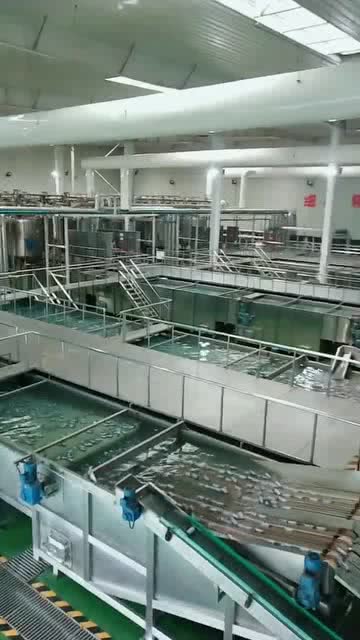 六个核桃生产线展示