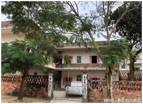 全红婵哥哥回应老家建120平别墅，一家人低调生活真相曝光