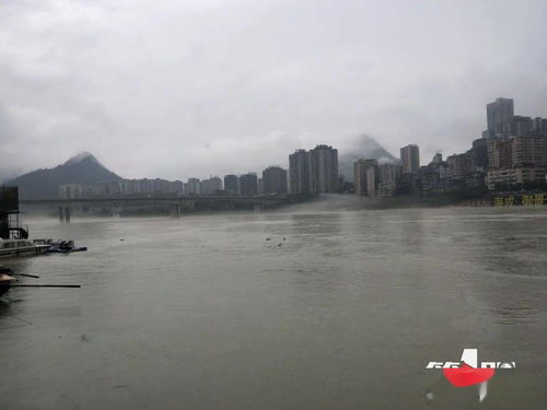 贵州黔西游船事故时天气有多差？亲历者讲述惊魂一刻