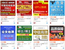 论文代写网站界面示意图