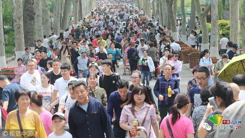 假期文旅市场供需两旺，我亲历的五一出游热潮