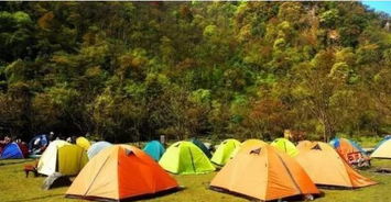 节目嘉宾在野外搭建营地