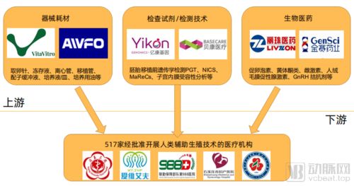 医生向患者解释辅助生殖流程</div>                        </p>
                        <!-- E 正文 -->
                    </div>

                    <!-- S 付费阅读 -->
<!-- E 付费阅读 -->


                    <!-- S 点赞 -->
<div class=