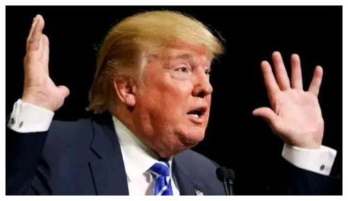 网友恶搞特朗普与加拿大元素结合的表情包