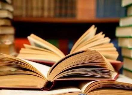 一本打开的书放在阳光下