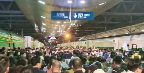 假期文旅市场供需两旺，我亲历的五一出行热潮