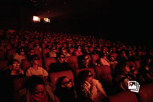 电影院观众看电影