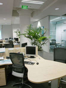 办公室内忙碌的员工们在电脑前专注工作