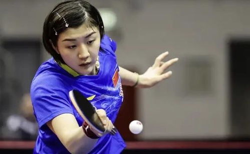 陈梦和母亲在节目中互动画面